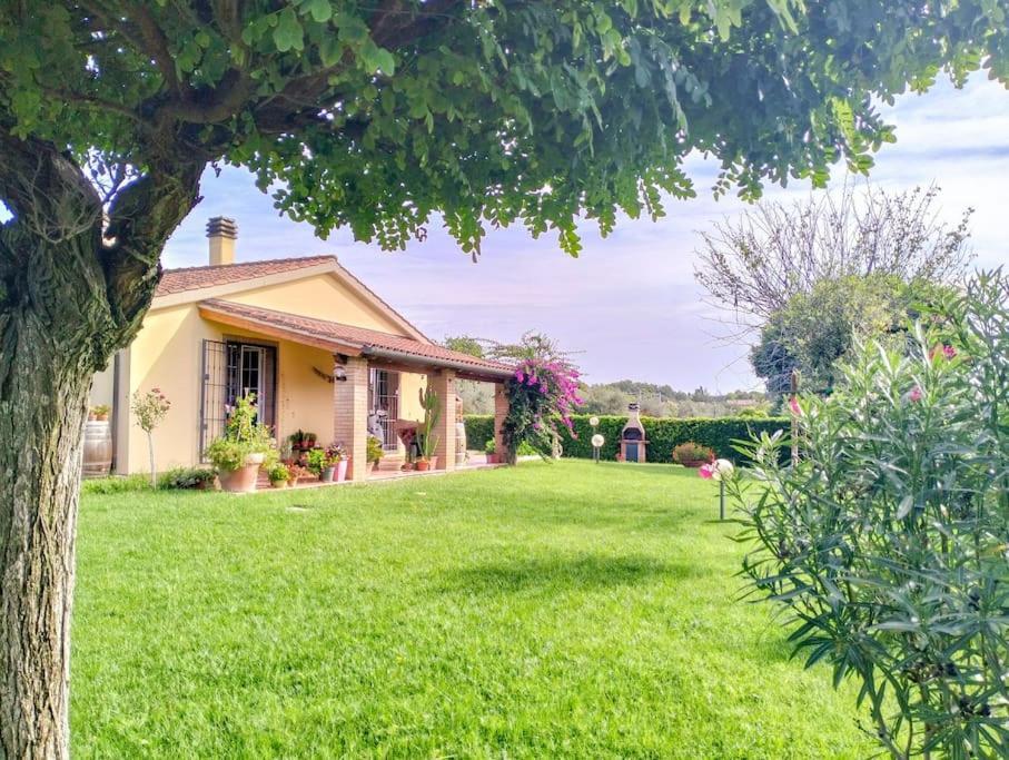 Villetta Rio, Large Private Garden Cecina (Livorno) Bagian luar foto